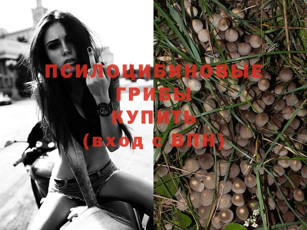 jwh Пролетарск
