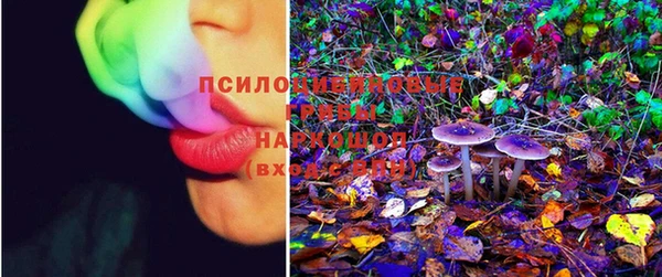 jwh Пролетарск