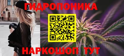 spice Гусев